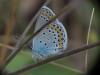 276316 – Photo : Florian ALONSO – France (69)